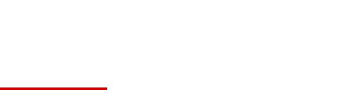 小麦の風味が香ばしい、全粒粉入り麺!