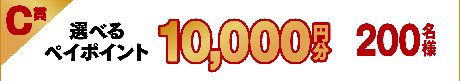 C賞 選べるペイポイント 10,000円分 200名様